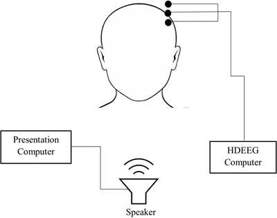 Odd-even oddball task: Evaluating event-related potentials during word discrimination compared to speech-token and tone discrimination